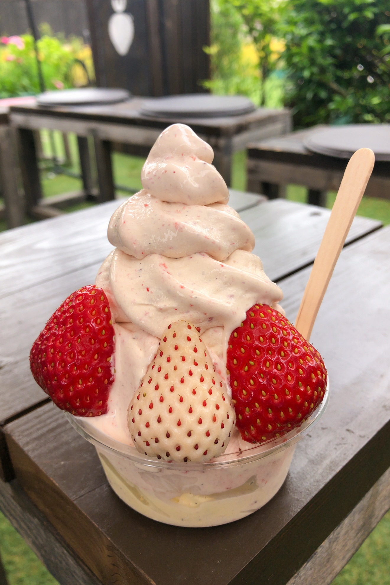 奥山いちご農園 〜 いちご農家直営!絶品の完熟いちごを使ったスイーツとドリンク〜(岡山市)